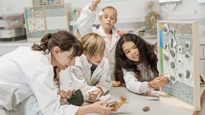 Mit «Freifahrt zur Kultur für Schulen» fahren Schulklassen im Kanton St.Gallen, Vorarlberg und im Fürstentum Liechtenstein neu gratis mit dem öV zu kulturellen Einrichtungen, z.B. zum Naturmuseum St.Gallen. 