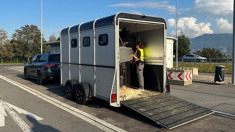 Schwerpunktkontrolle von Pferden und Fahrzeugen am Zollübergang Au 