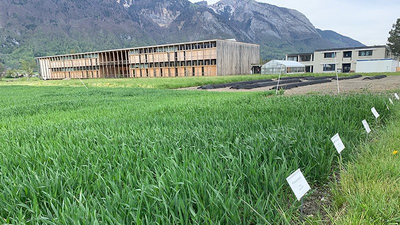 Hohe Biodiversität und praxisnahe Versuche am Landwirtschaftlichen Zentrum St.Gallen (LZSG) in Salez