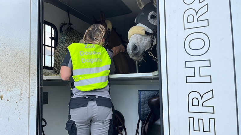 Zoll und Veterinärdienst begutachten im Berichtsjahr 117 Pferde, die entsprechenden Dokumente und die eingesetzten Transportfahrzeuge. 